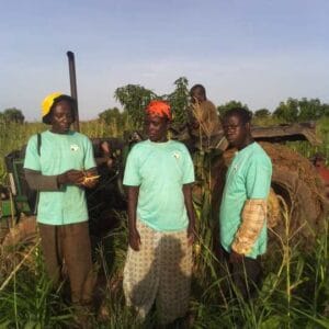 Ghana-YOI Agriculture Education Farm-540x540 (3)