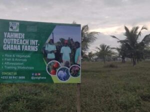 Ghana-YOI Agriculture Education Farm-640x480 (1)